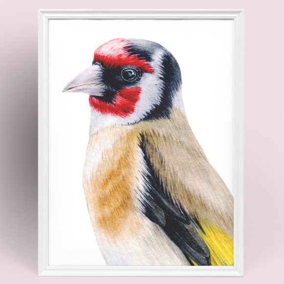 Watercolor Wall Art Goldfinch Bird Illustration Print Poster Unframed - Picture 4 of 9